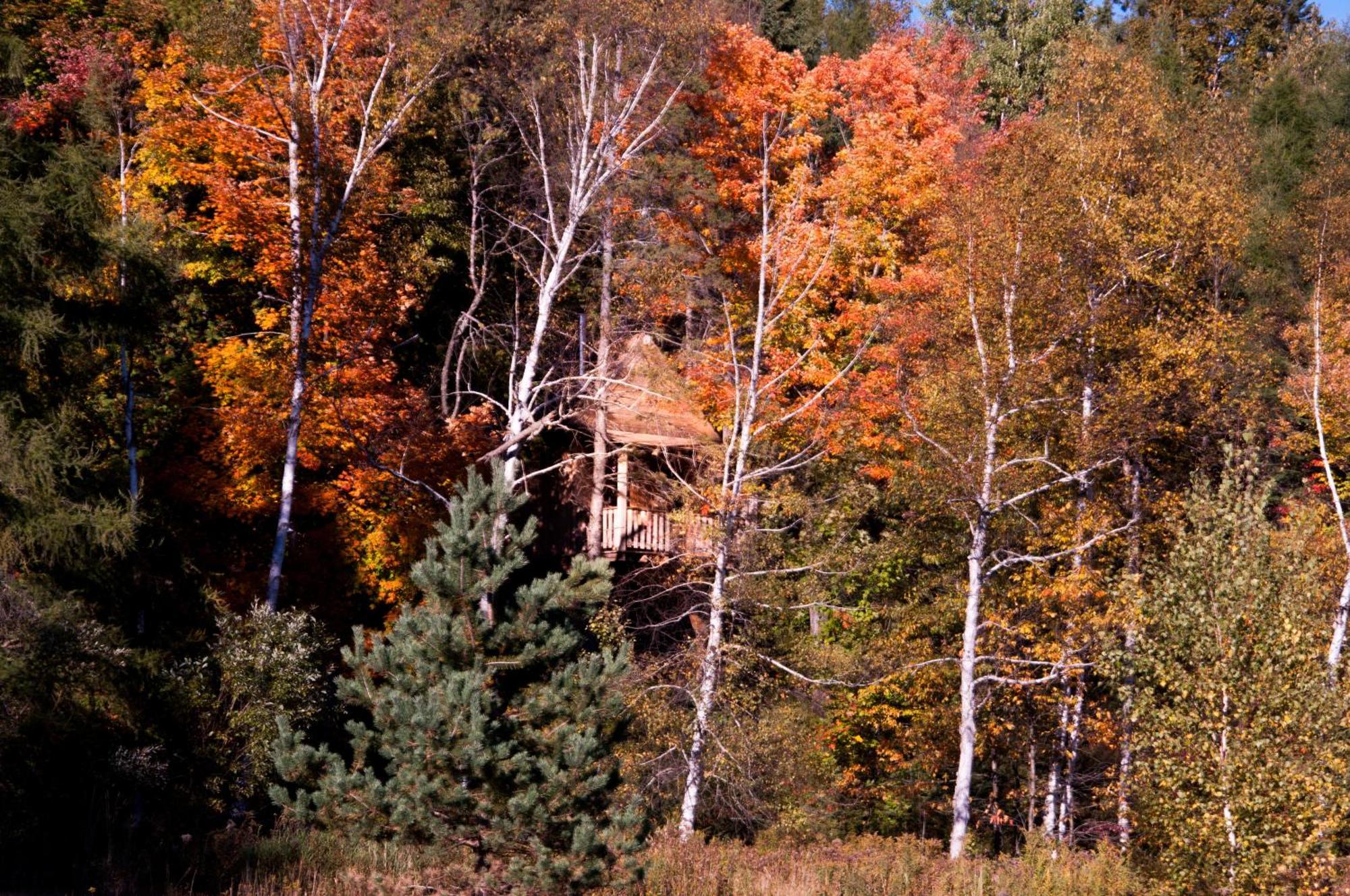 Les Cabanes Du Trappeur Wentworth-Nord 외부 사진