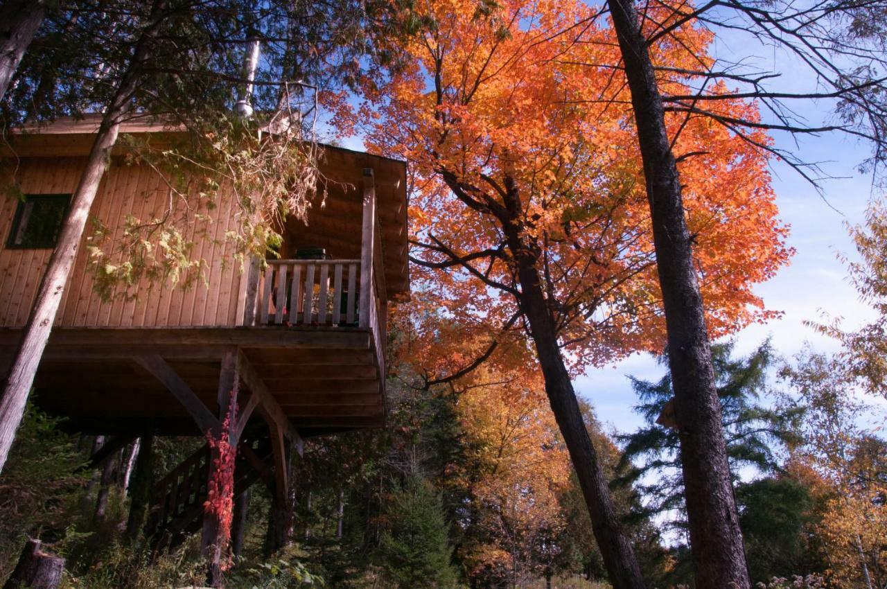 Les Cabanes Du Trappeur Wentworth-Nord 외부 사진